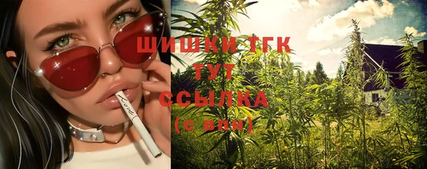 a pvp Заводоуковск