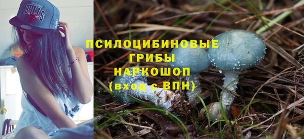 a pvp Заводоуковск