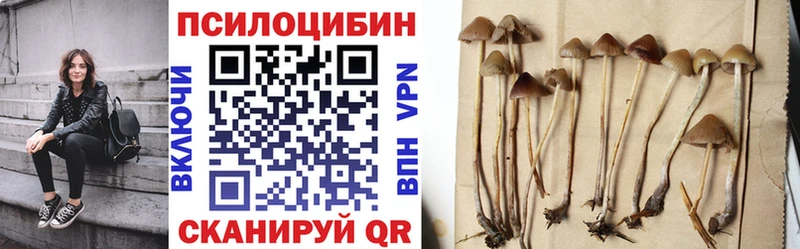 Псилоцибиновые грибы Psilocybine cubensis  мориарти телеграм  Калачинск 